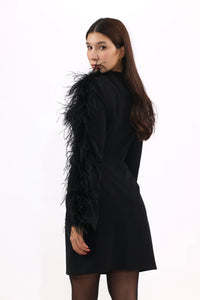 Feathered Noir Dress